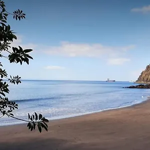 https://apartamento-a-la-orilla-del-mar.in-canary-islands.com